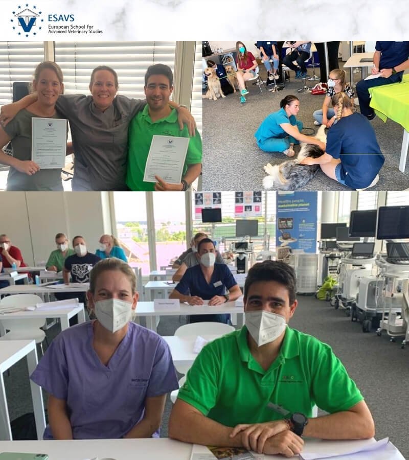 Orthopaedics class of abvc vets in Austria