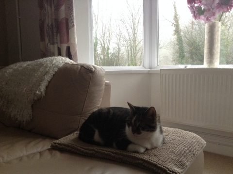 Tiggy moved to the UK