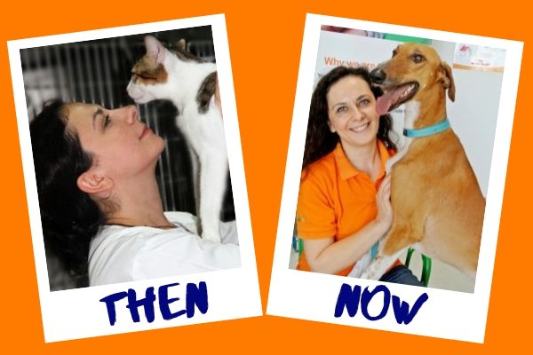 veterinary service since 2004
