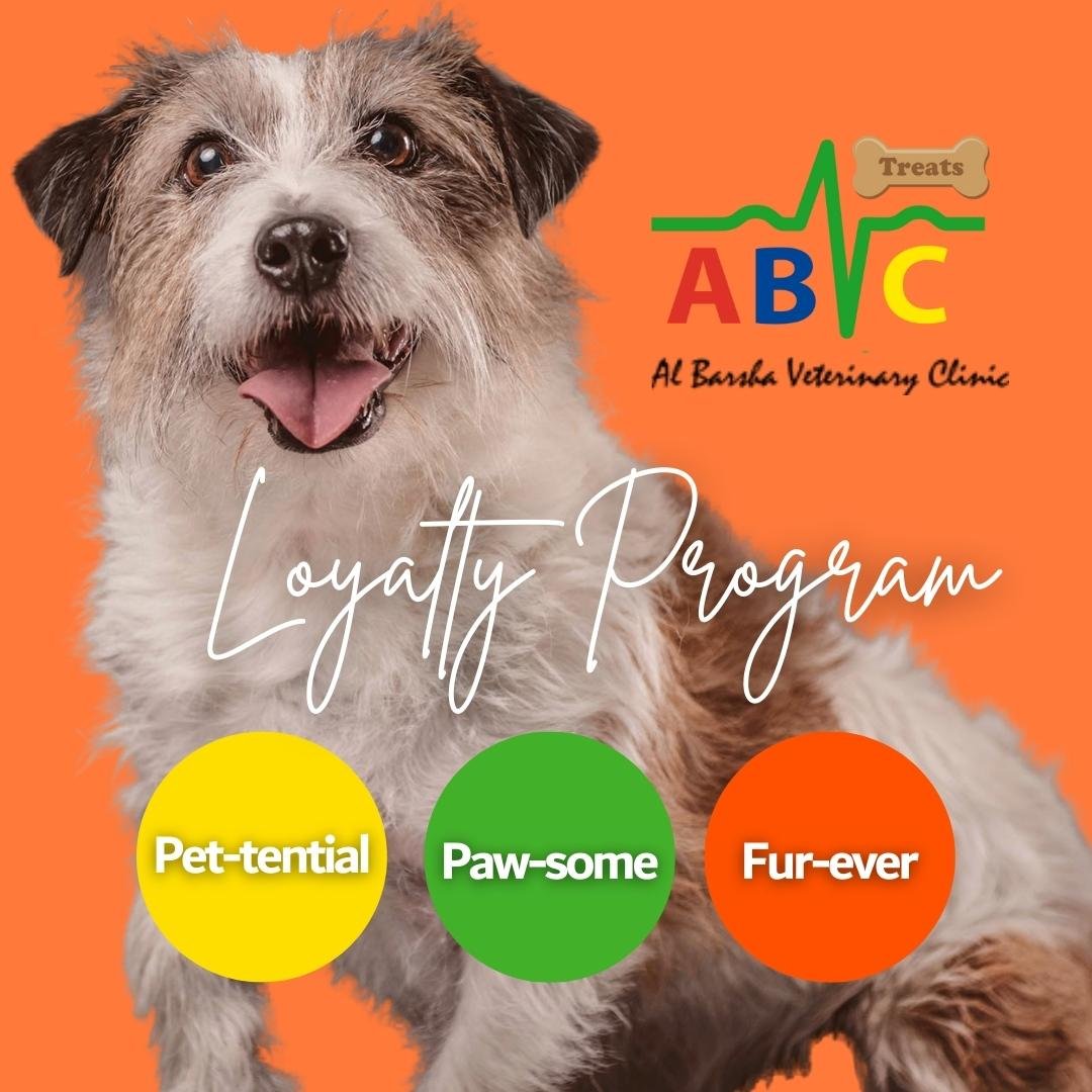abvc treats loyalty program