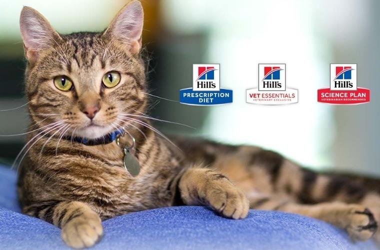 abvc and hills products for pets in Dubai