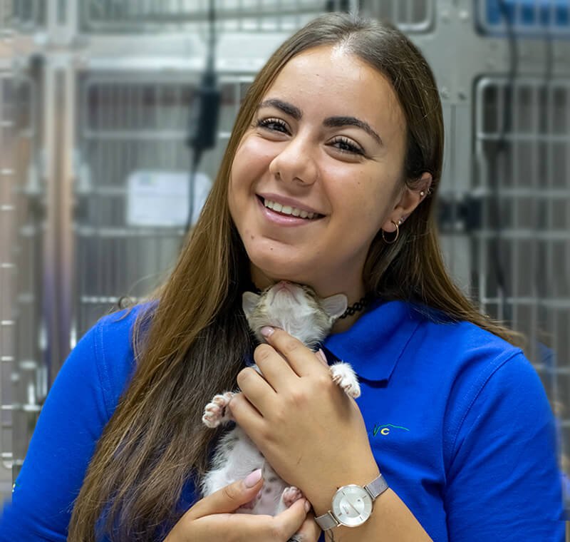 Marie vet assistant in abvc veterinary clinic for cat