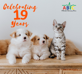 Celebrate with us