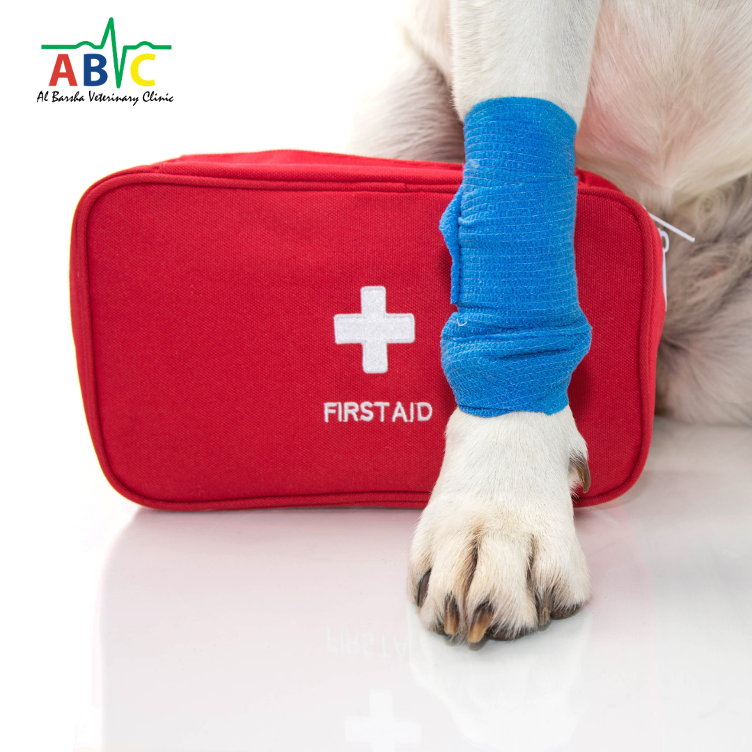 ABVC Pet Emergency