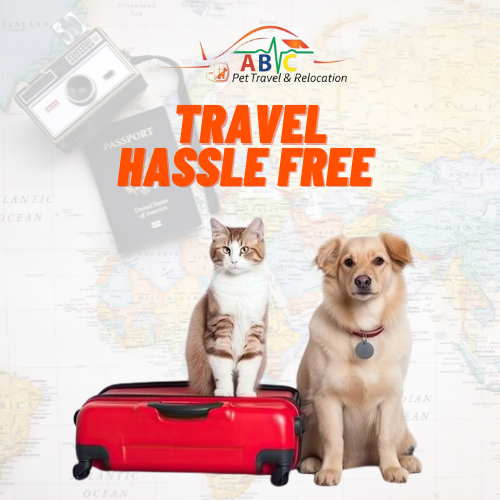 Are you trying to relocate your pet to or from Dubai