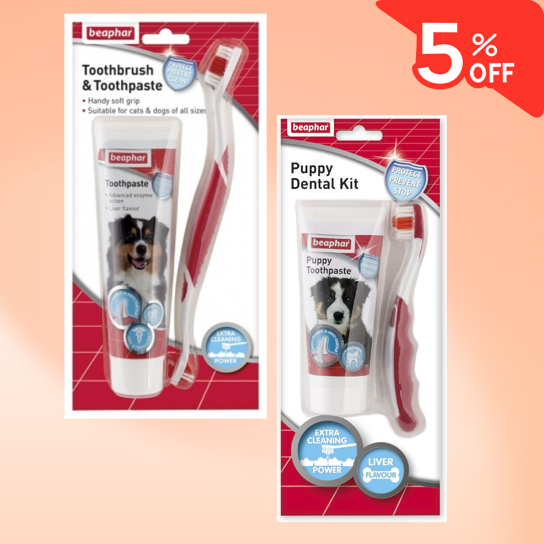 MARCH: 5% DISCOUNT ON BEAPHAR DENTAL KIT TOOTHBRUSH