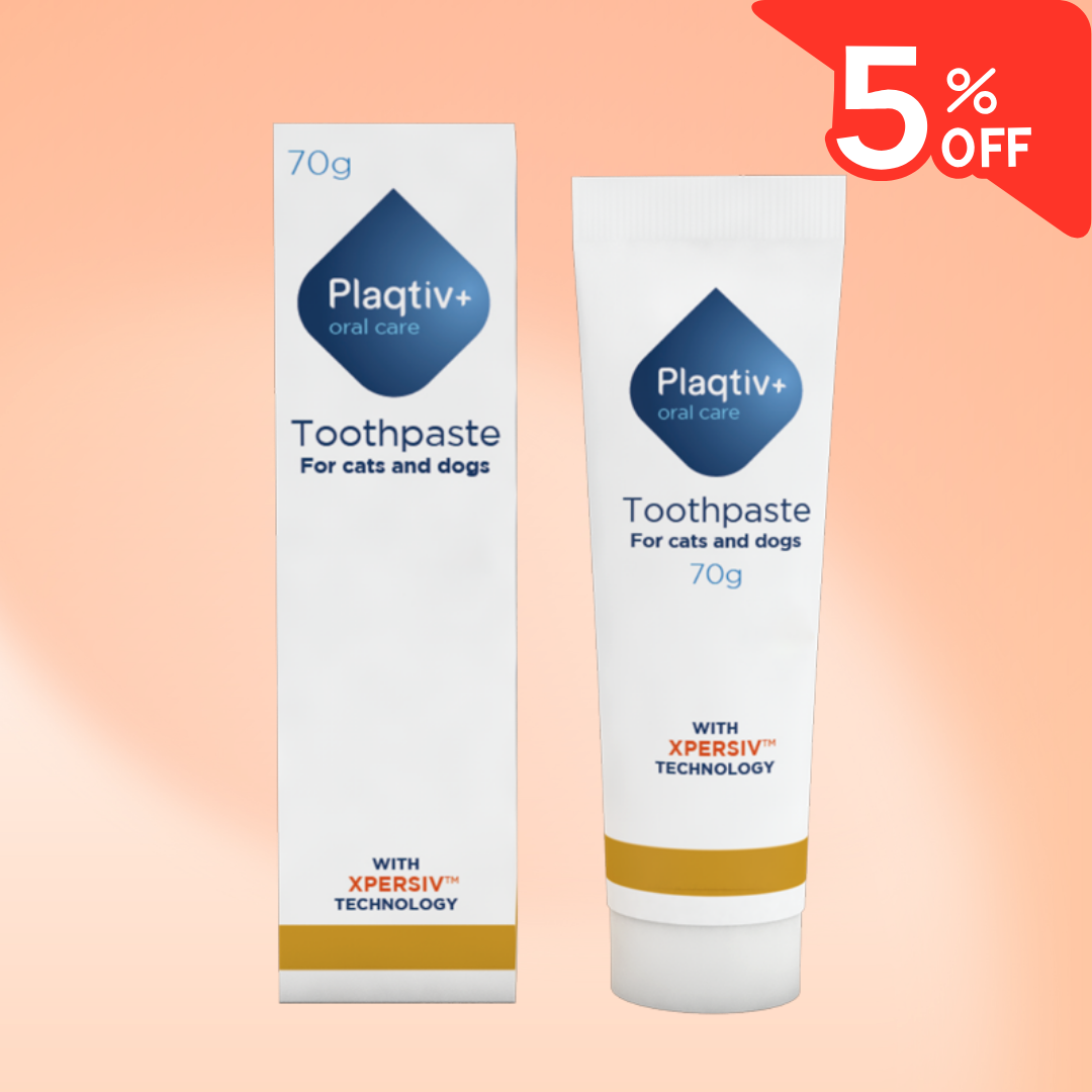 MARCH: 5% DISCOUNT ON PLAQTIV+ TOOTHPASTE FOR CATS & DOGS