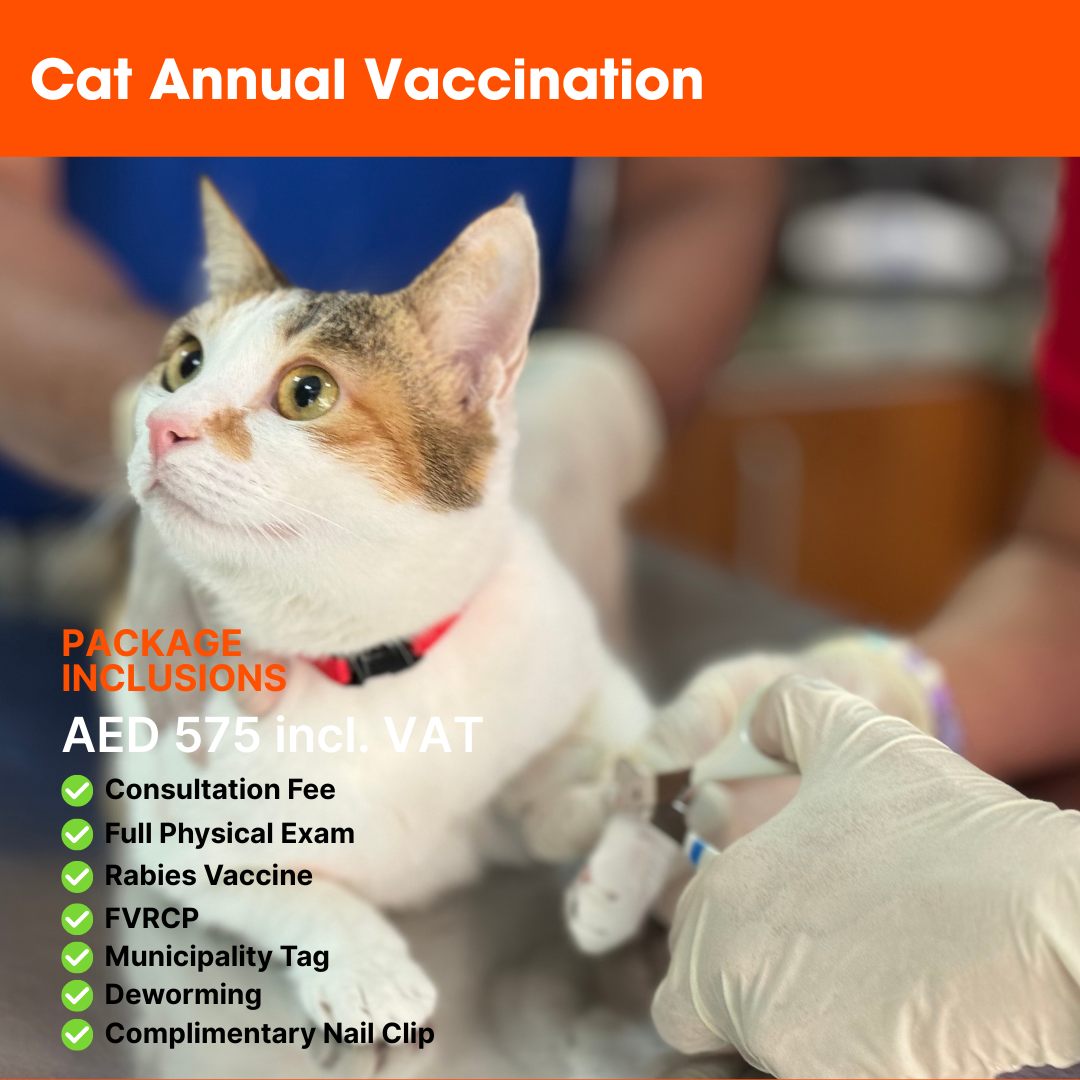 ABVC Cat Annual Vaccination