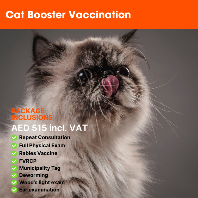 ABVC Cat Booster Vaccination
