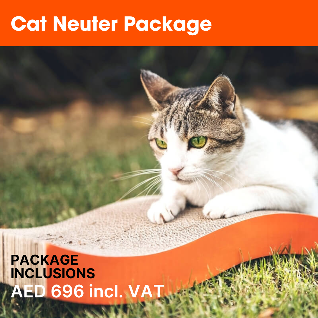 ABVC Cat Neuter Package