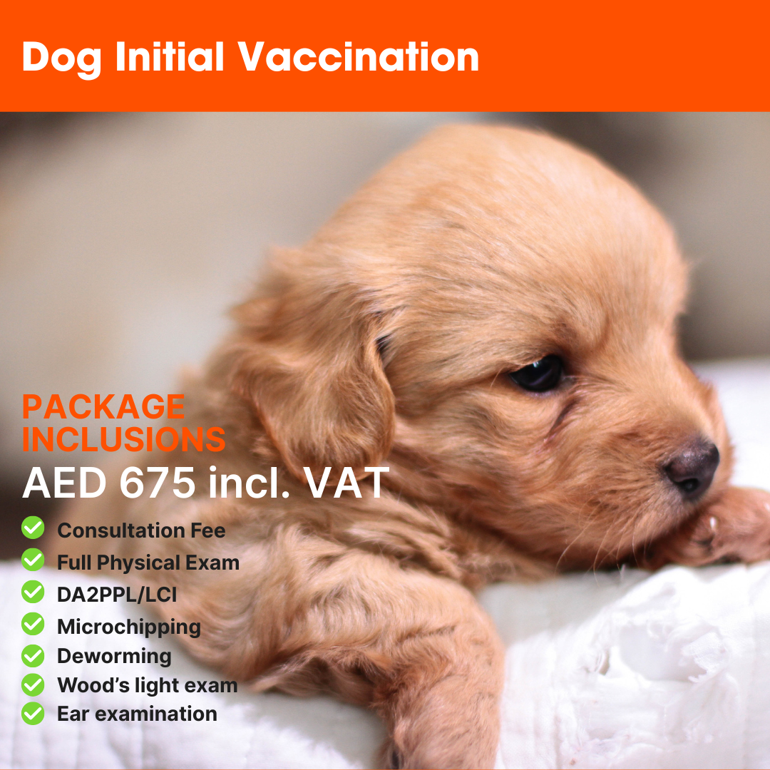 ABVC Dog Initial Vaccination