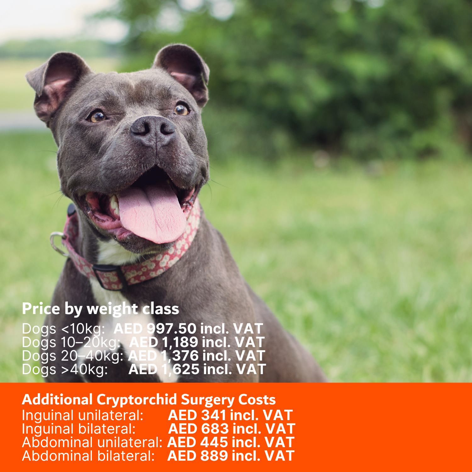 ABVC Dog Neuter Package_weight class