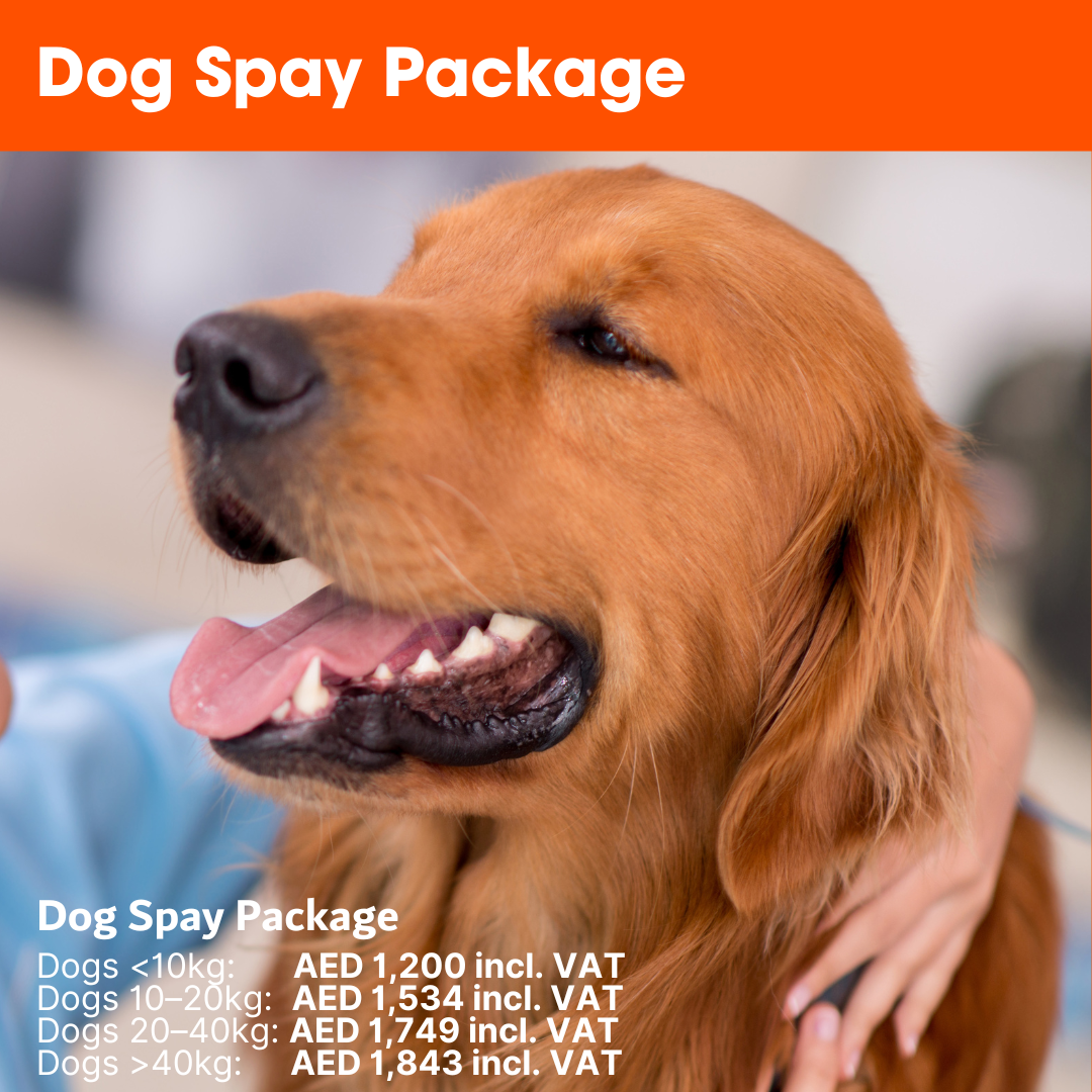 ABVC - Dog Spay Package - Price information