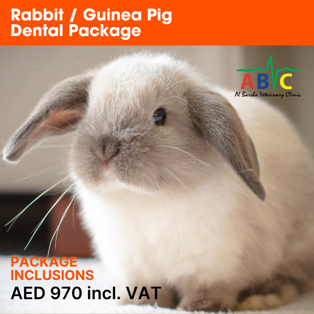 ABVC Rabbit & Guinea Pig Dental Package
