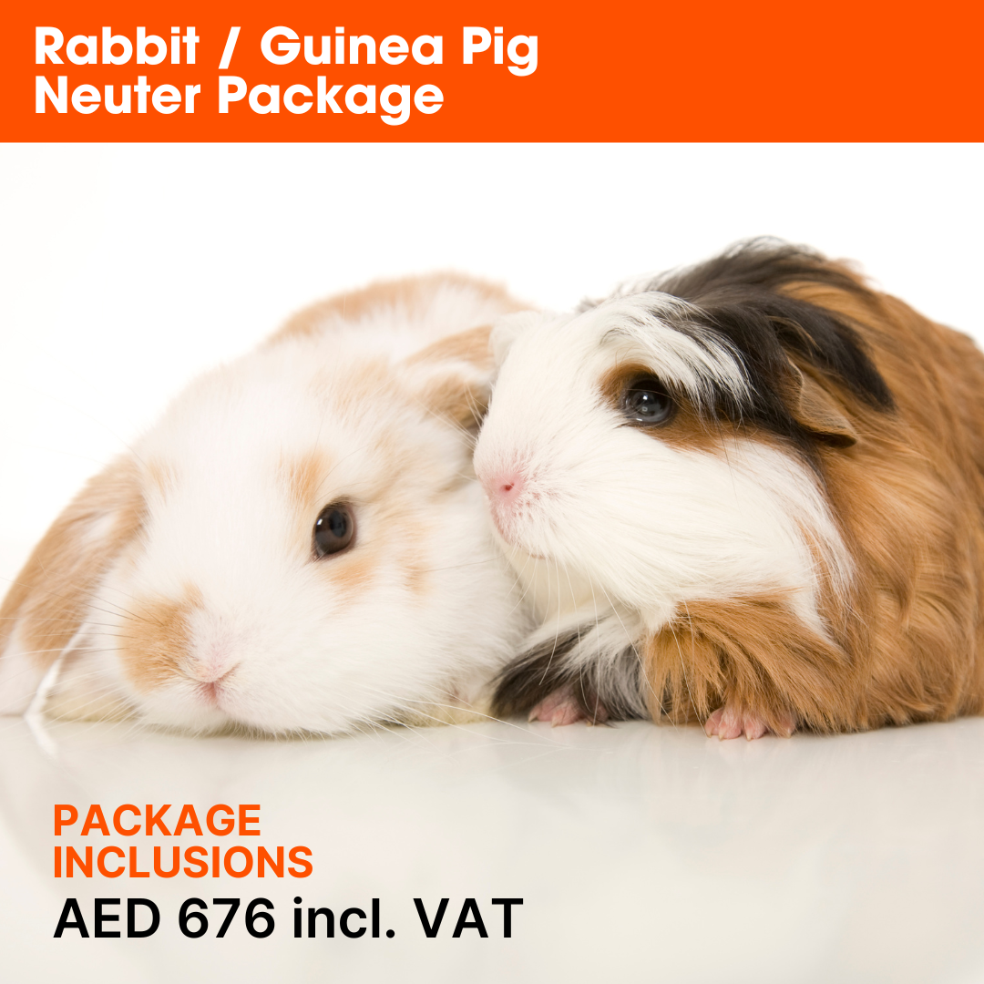 ABVC Rabbit & Guinea Pig Neuter Package