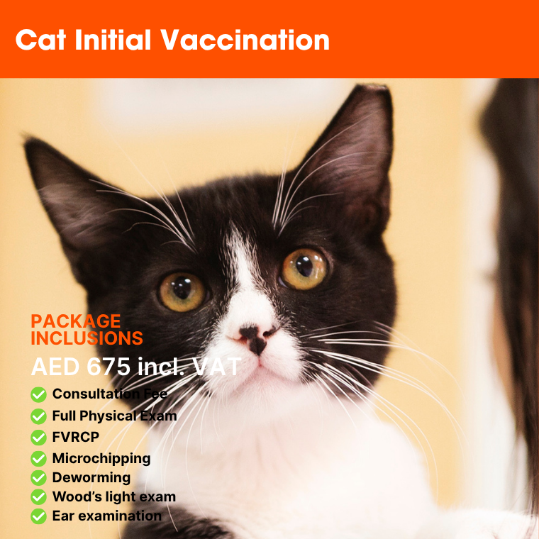 ABVC Cat Initial Vaccination