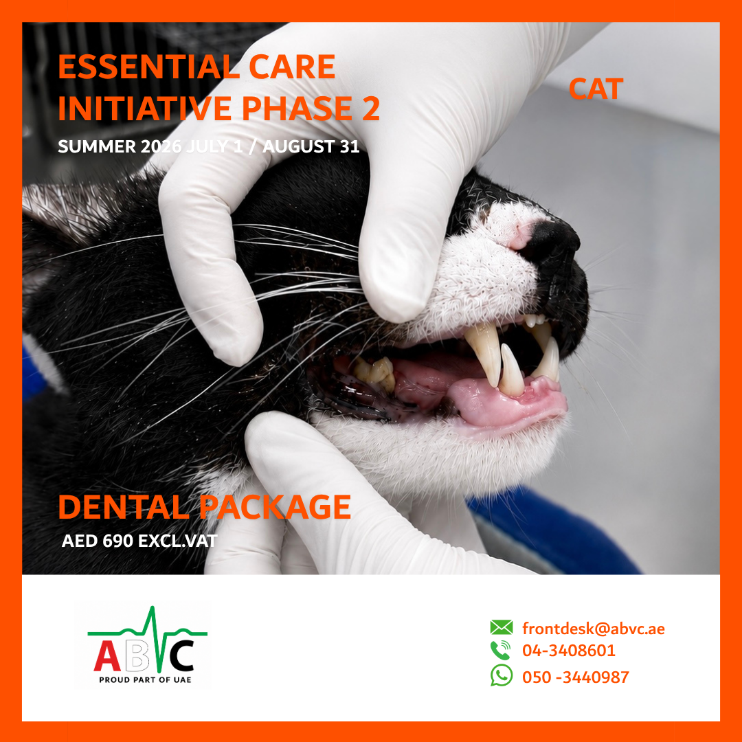 ABVC Dental Cat Package
