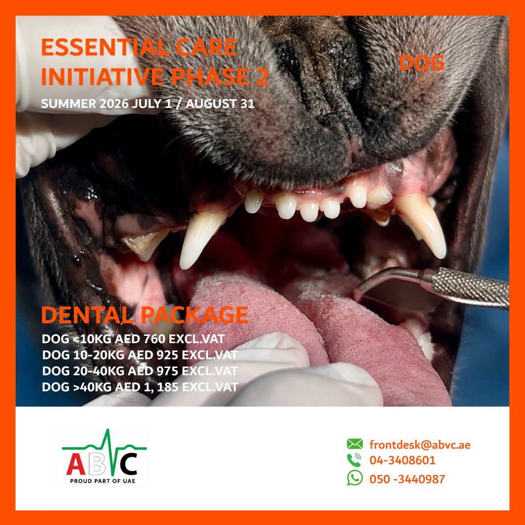 ABVC Dog Dental Package