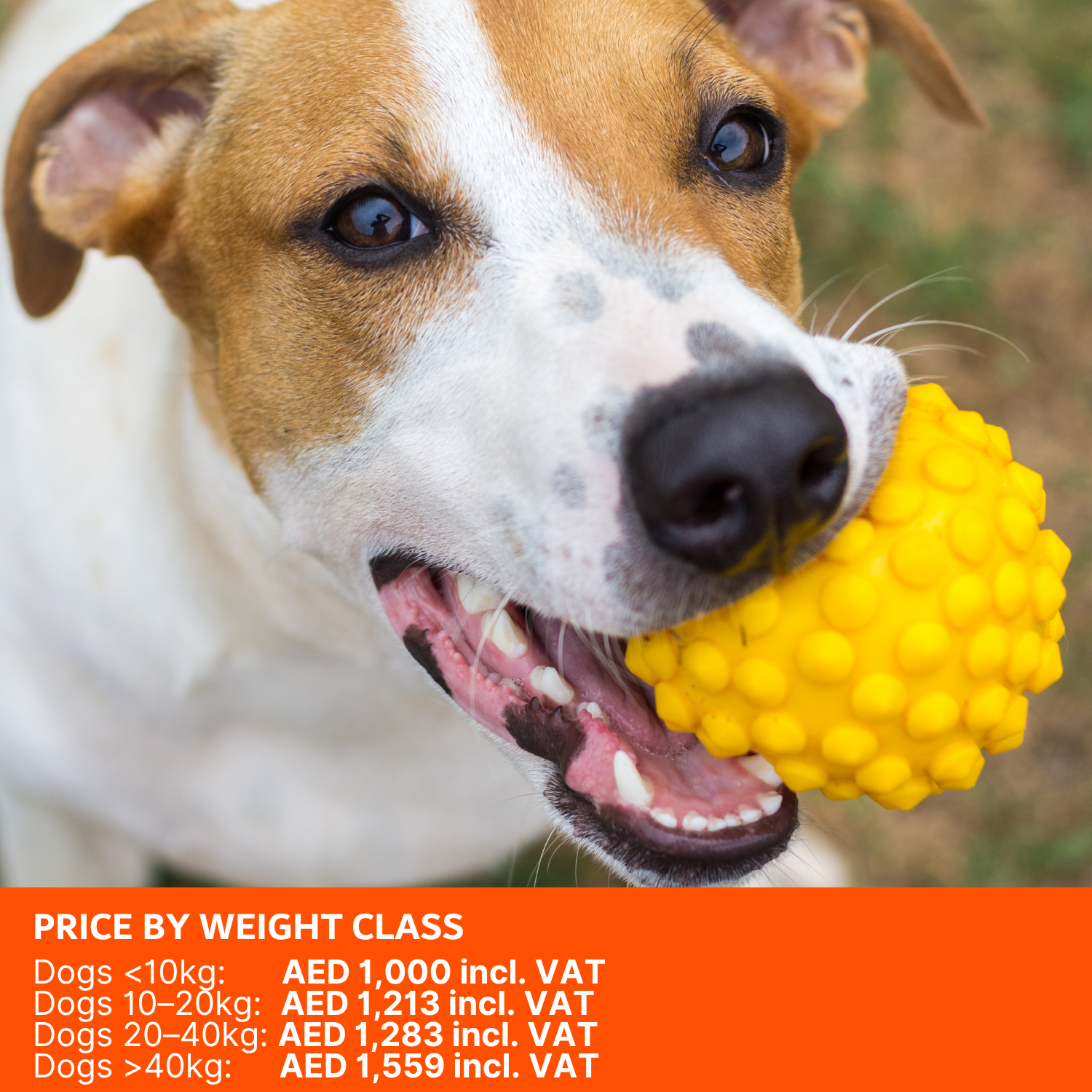 ABVC Dog Dental Package_weight class