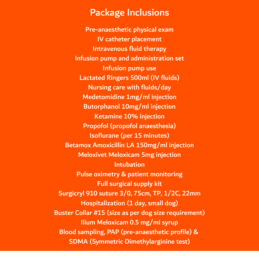 ABVC - Dog Spay Package - Included