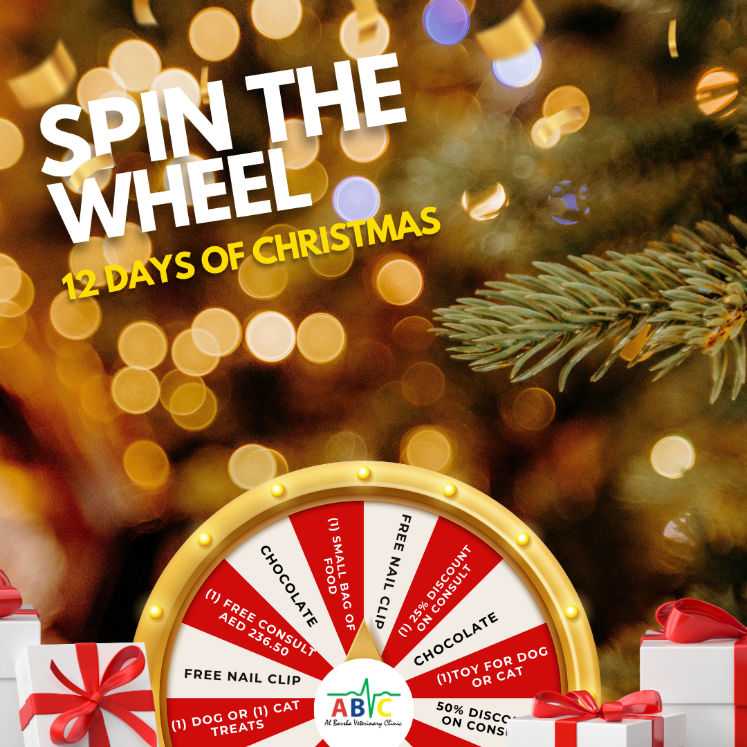 ABVC Spin the Wheel of Christmas