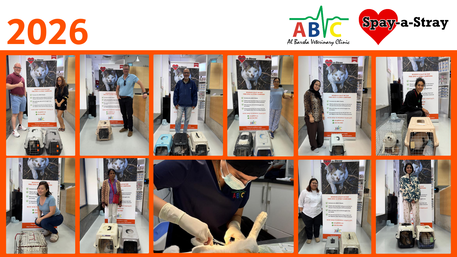 2026 ABVC Spay-a-Stray Campaign