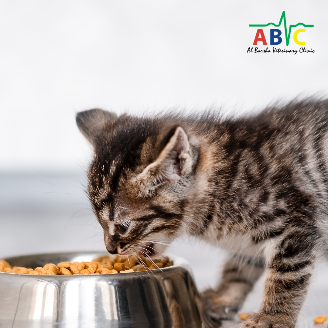 ABVC Stock Up Pet Food, Medications & Other Essentials (2)