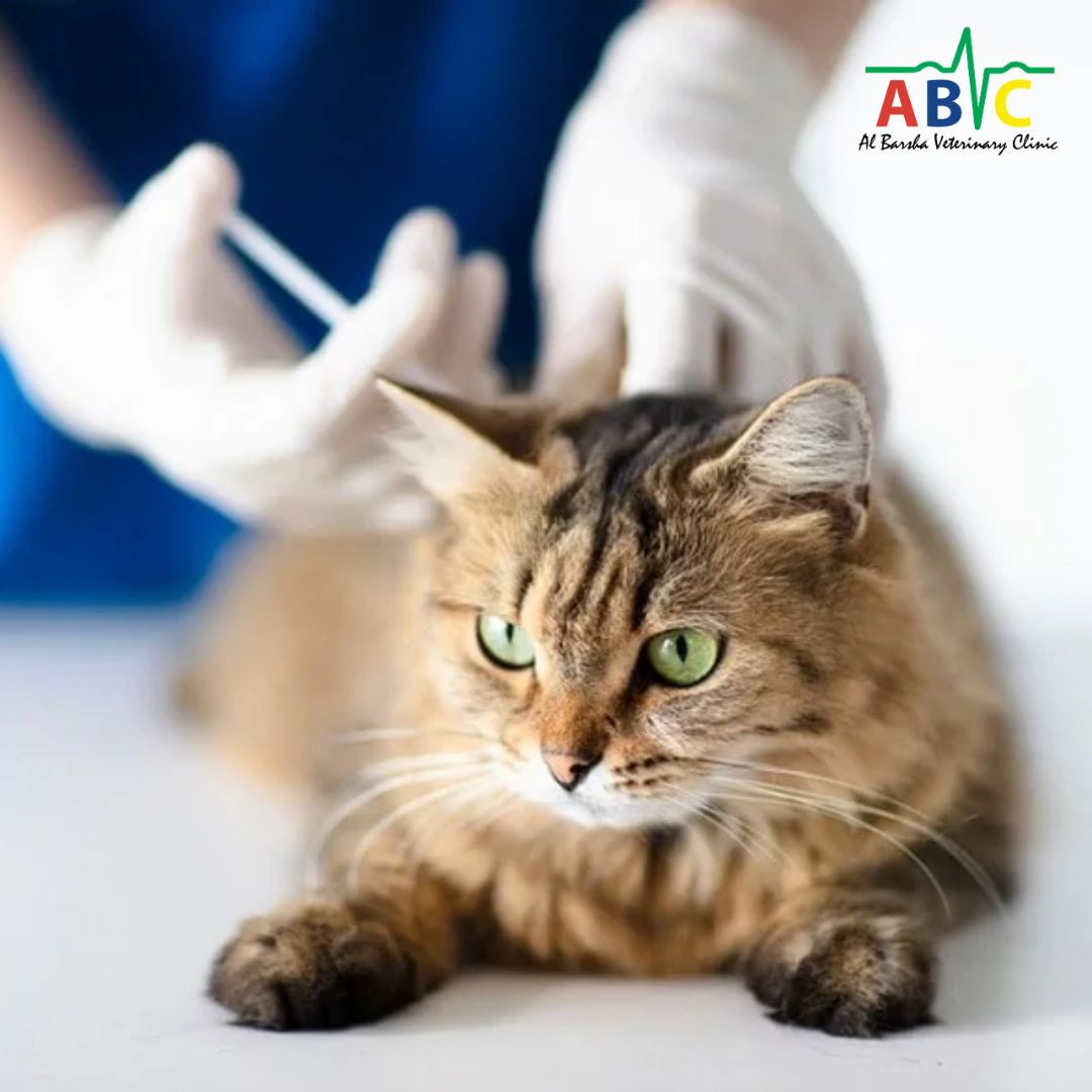 World Animal Vaccination Day Apr 20, 2026