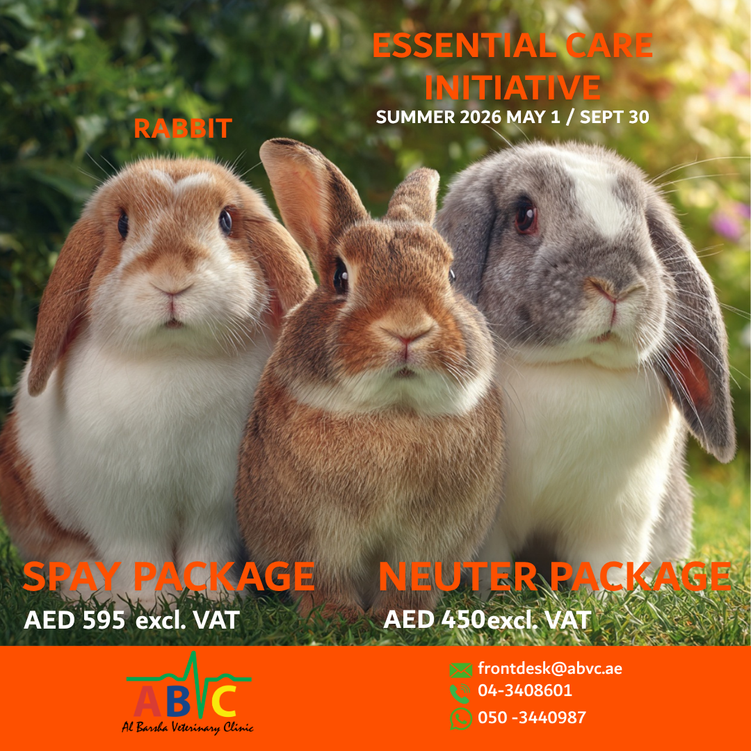 ABVC Rabbit Spay & Neuter Package