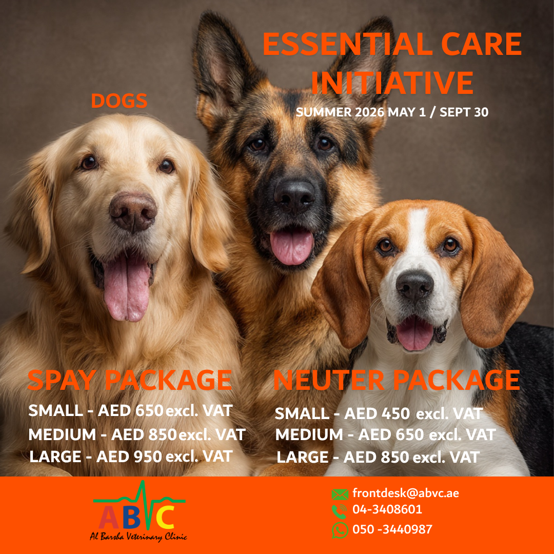 ABVC Dog Spay & Neuter Package