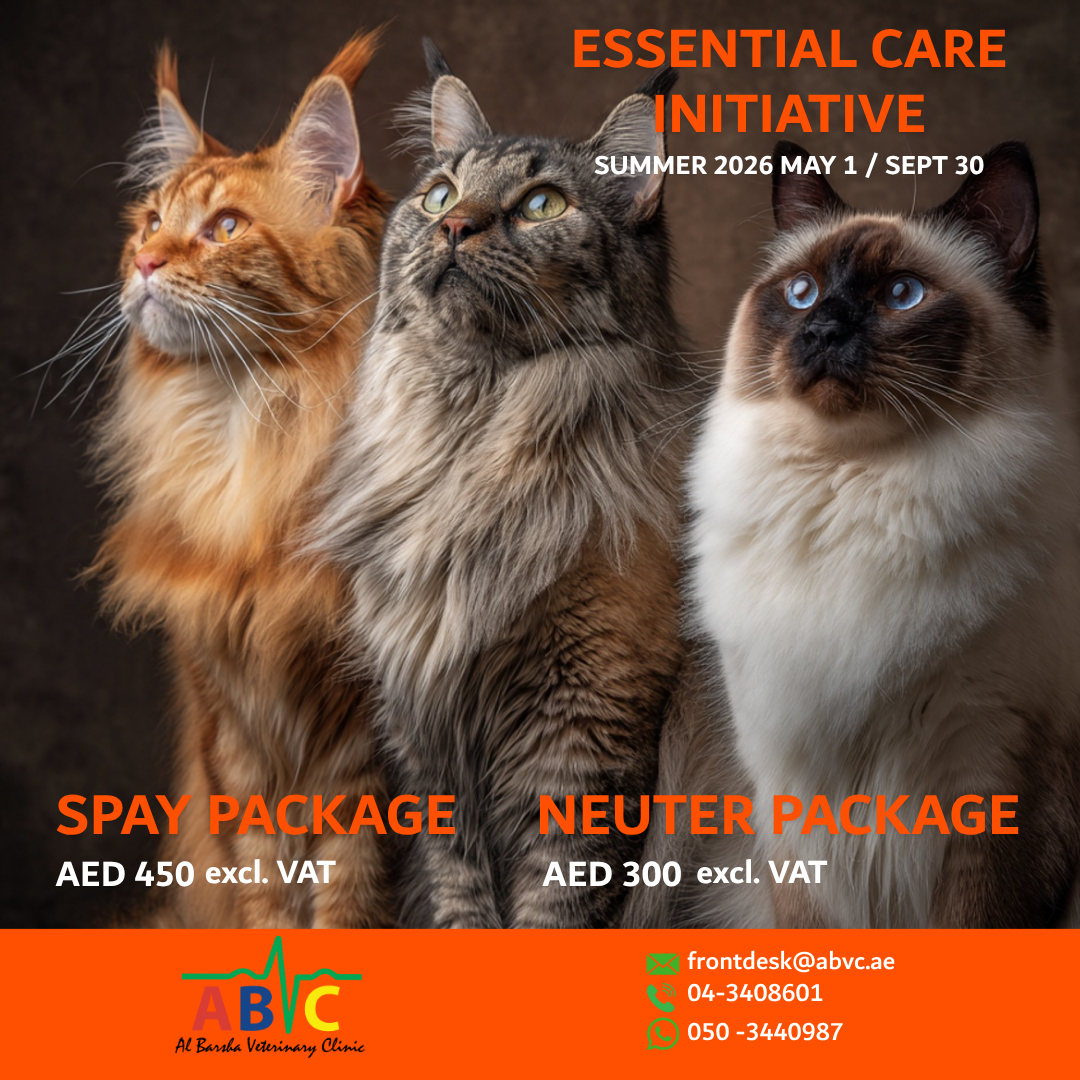 ABVC Cat Spay & Neuter Package