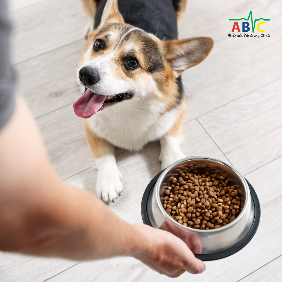 ABVC Pet Food Supply Update