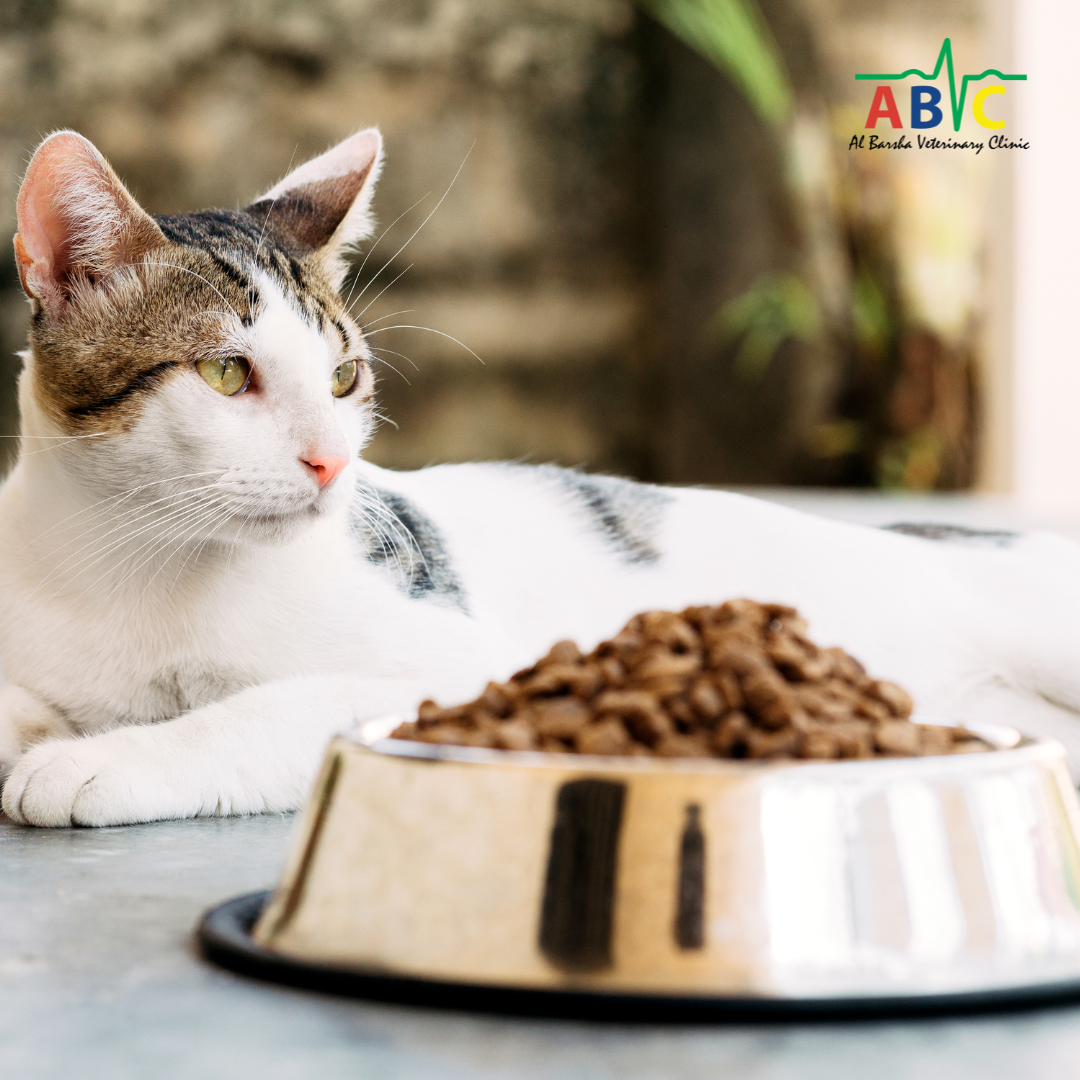 Pet Food Increase Notice