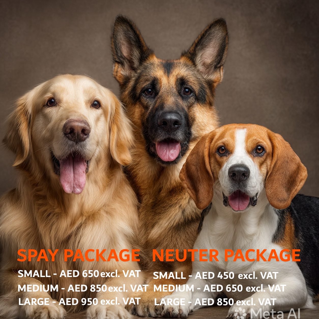 ABVC Dog Spay & Neuter Package