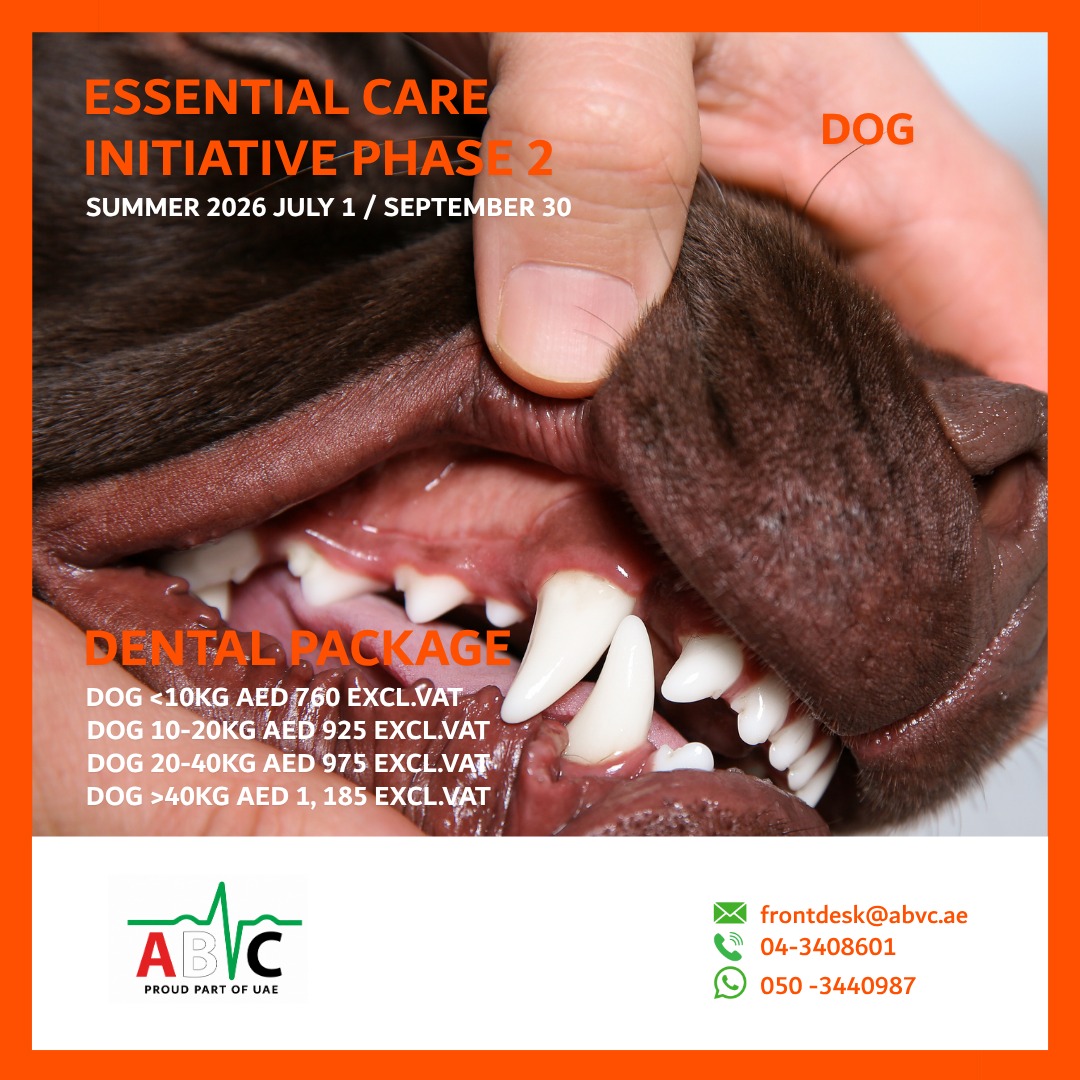 ABVC Dog Dental Package
