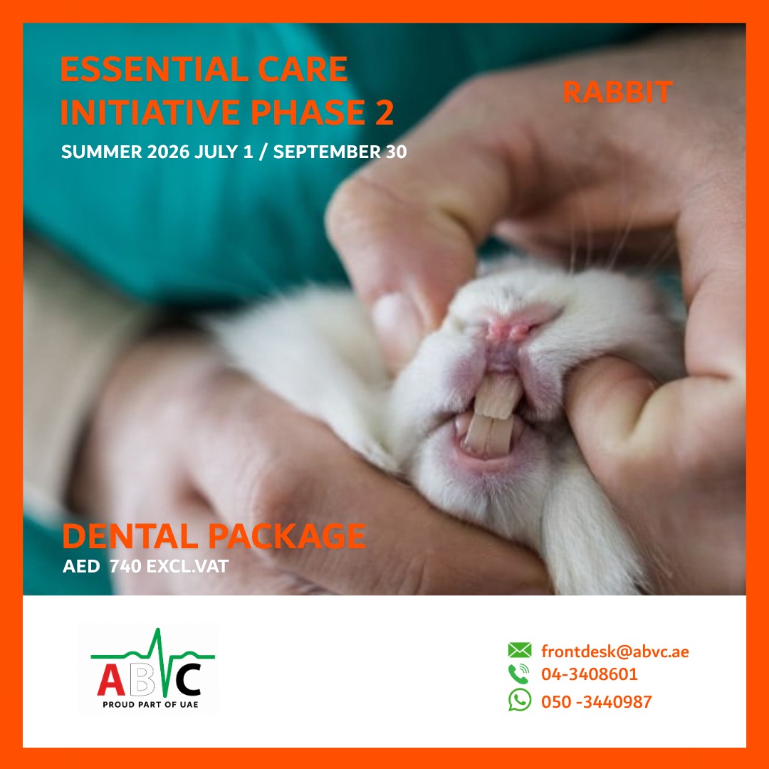ABVC Rabbit Dental Package