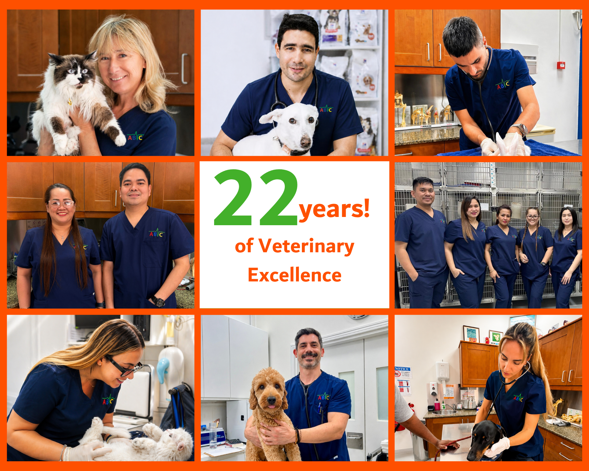 ABVC Celebrates 22 Years of Caring for Pets in Dubai
