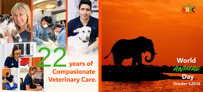 ABVC Celebrates 22 Years of Caring for Pets in Dubai