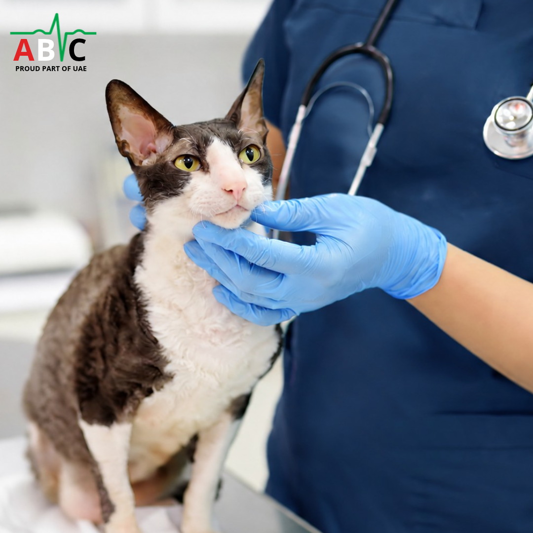 ABVC 26% OFF Pet Renal Consultation Fee
