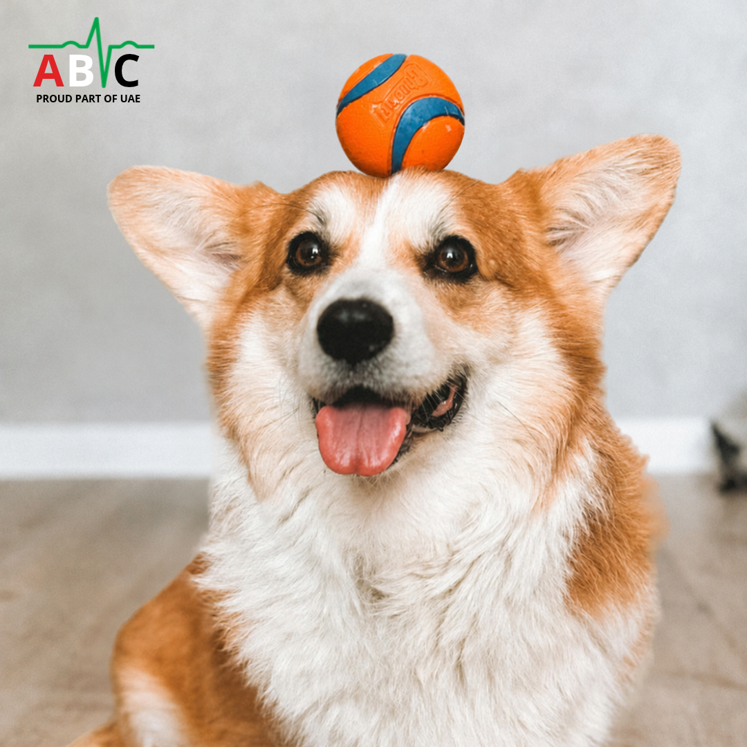 ABVC Make Us Smile Campaign Nov 2026